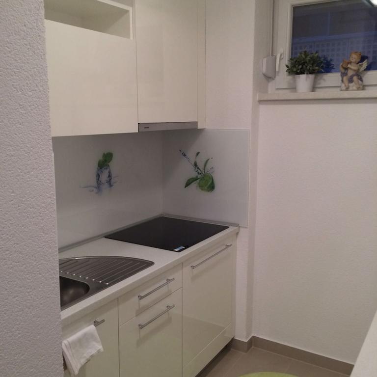 Angelina Apartment Zapresic Bagian luar foto
